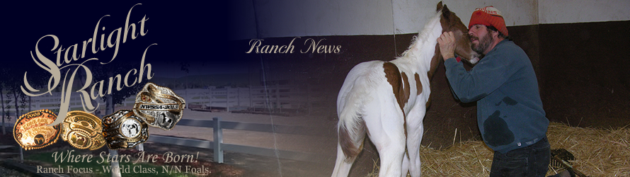 Starlight Ranch News